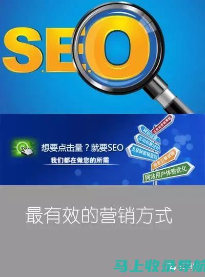 SEO新手入门：如何使用查询工具网站优化你的网站